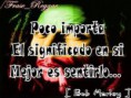 /album/fotogaleria/images5-jpg/